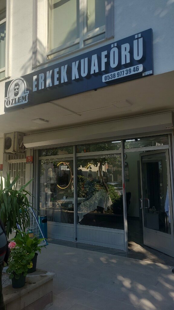 Interior design Birlik Decoration, Ankara, photo