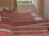 Фото Menzies Guest House