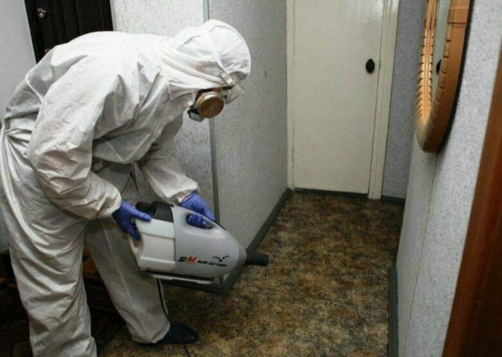 Desinfección, desinsectación, desratización Единая Служба Дезинфекции, , foto