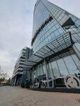 Spetsstroymash (Malysheva Street, 51), rental of construction and special equipment