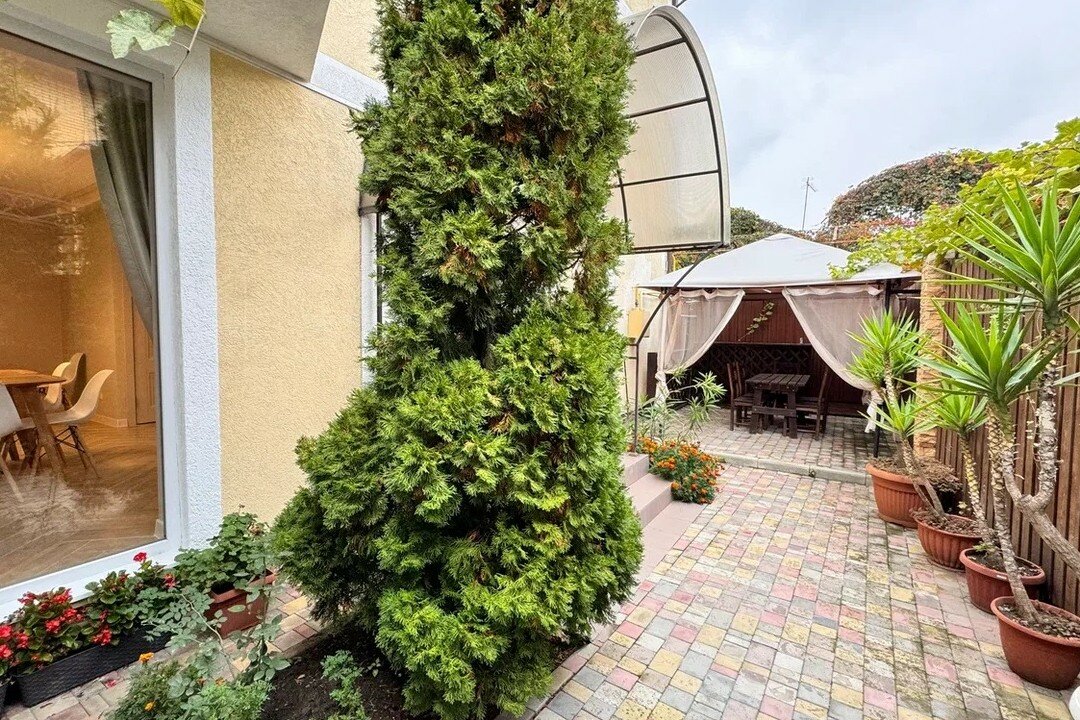 Фото Солнце Тургенева