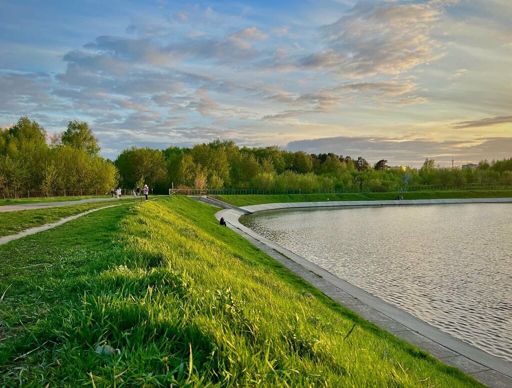 Urban forest Prirodny kompleks № 79 Kuzminsky lesopark, Moscow, photo