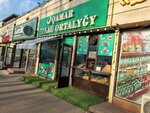 Qamar Palau Ortalygy (11th microdistrict, 3Д) ، مقهى