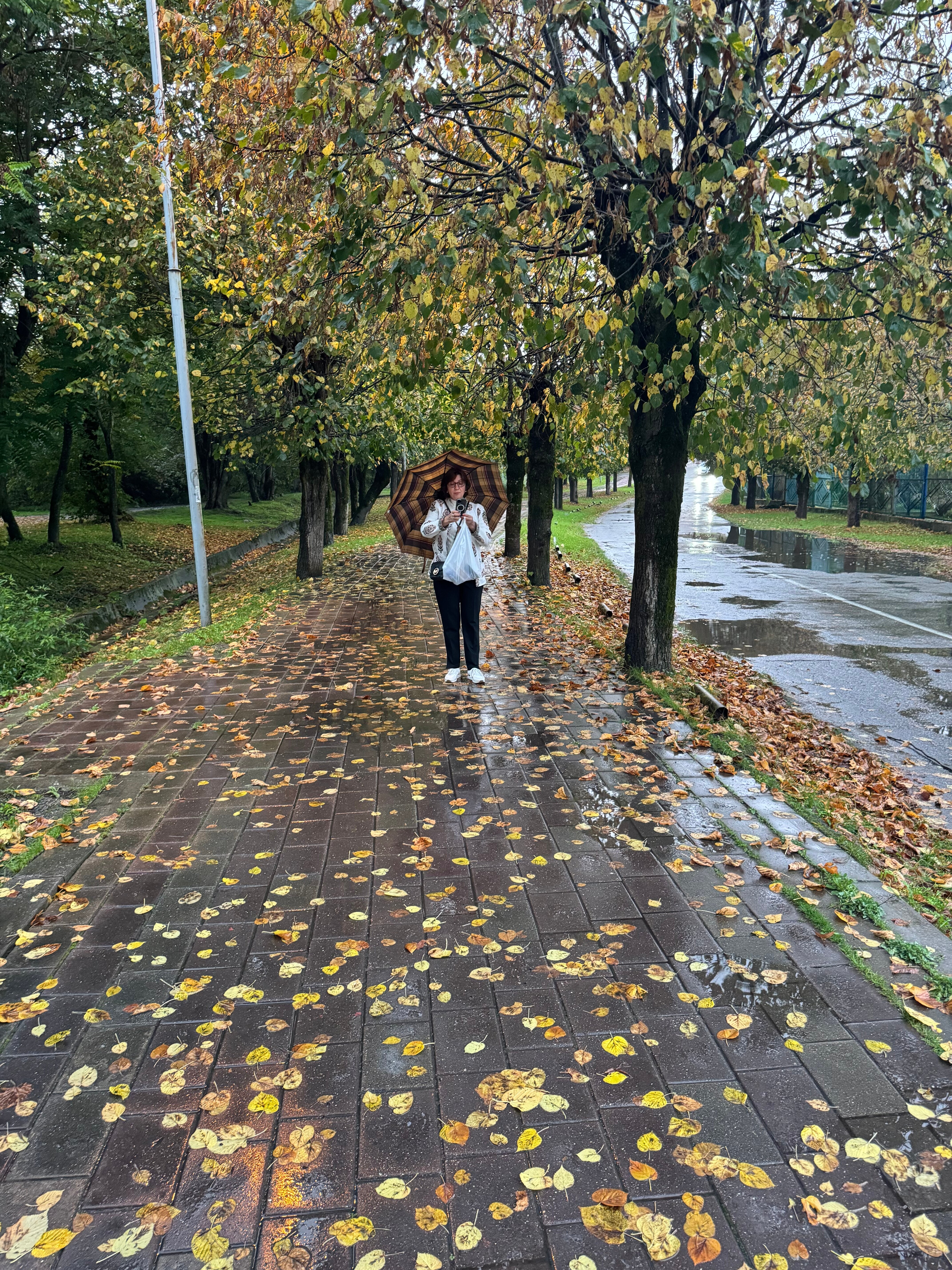 Фото Парк отель Нальчик