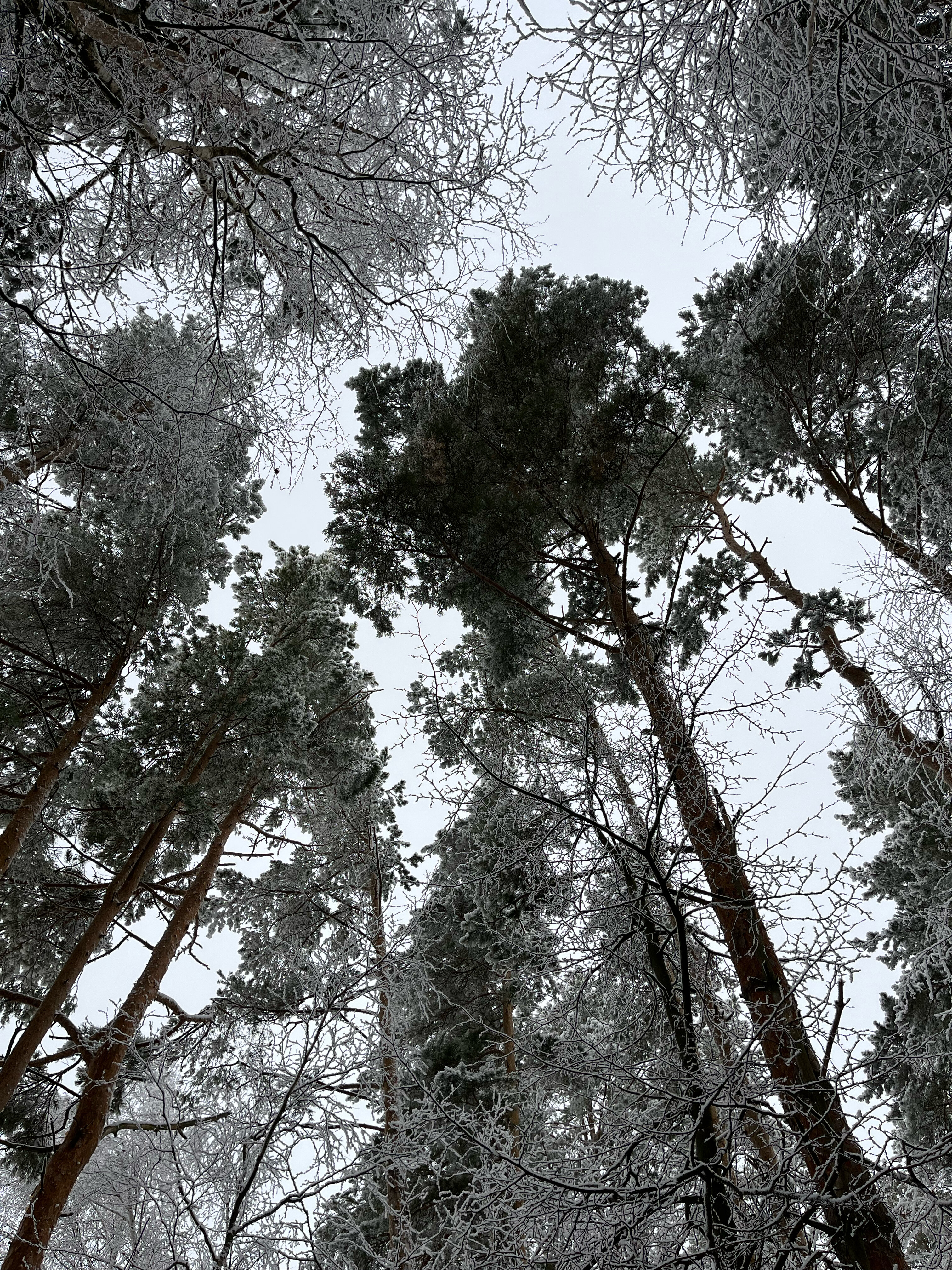 Фото Ива СПА