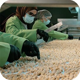 Food manufacturers Funye, Izmir, photo