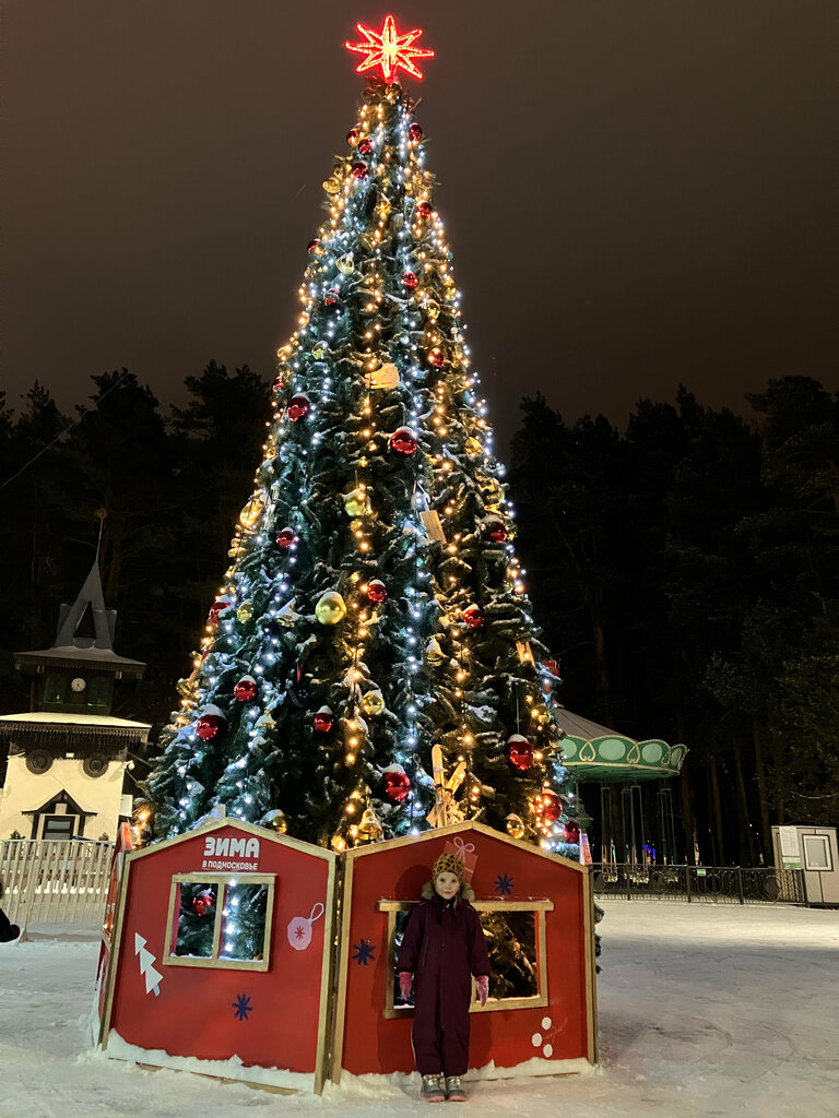 City tree Городская ёлка, Domodedovo, photo