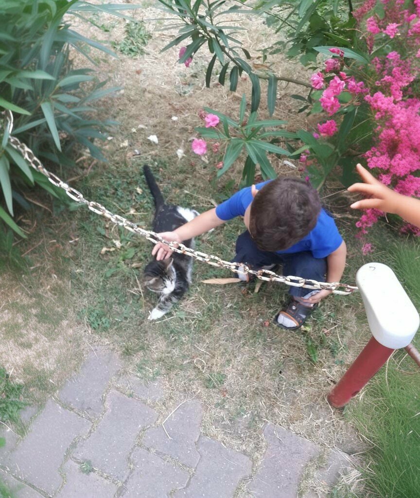 Park Cevher Dadayev Park, Samsun, photo