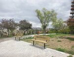 Freedom Park (Ankara Province, Yenimahalle, Ilkyerlesim Neighborhood, Freedom Park), emergency assembly area