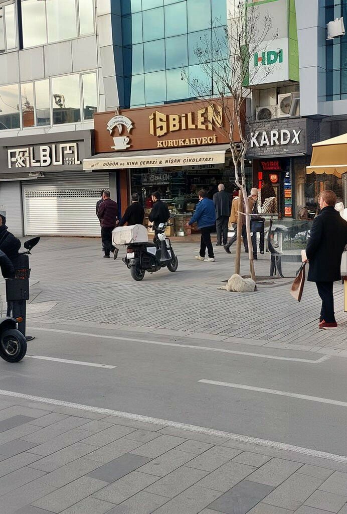Nuts, snacks, dried fruits Isbilen Kurukahvecilik, Duzce, photo