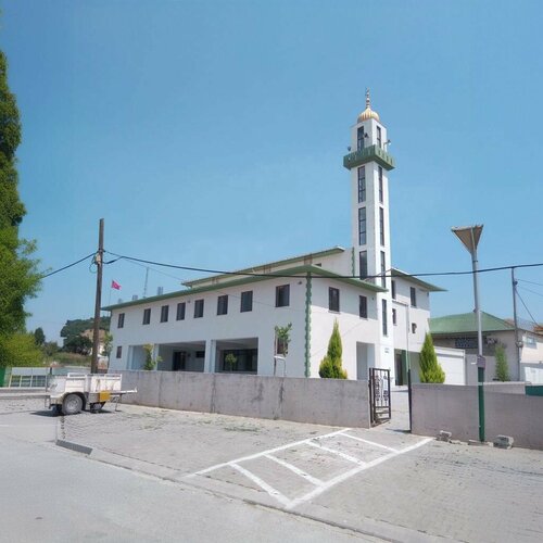 Mosque Emir Sultan Mosque, Can, photo