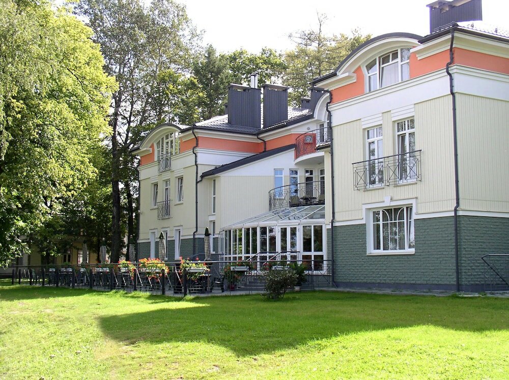 Фото Виолета