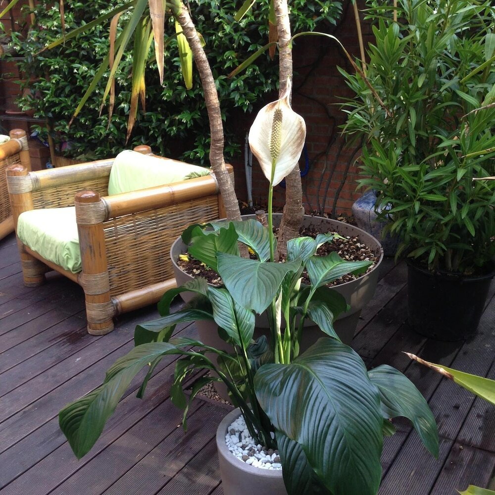 Фото B&b Il Picchio