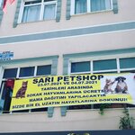 Sari Akvaryum Petshop (İstanbul, Küçükçekmece, Söğütlü Çeşme Mah., 2. Atatürk Cad., 61A) ، متجر للحيوانات الأليفة