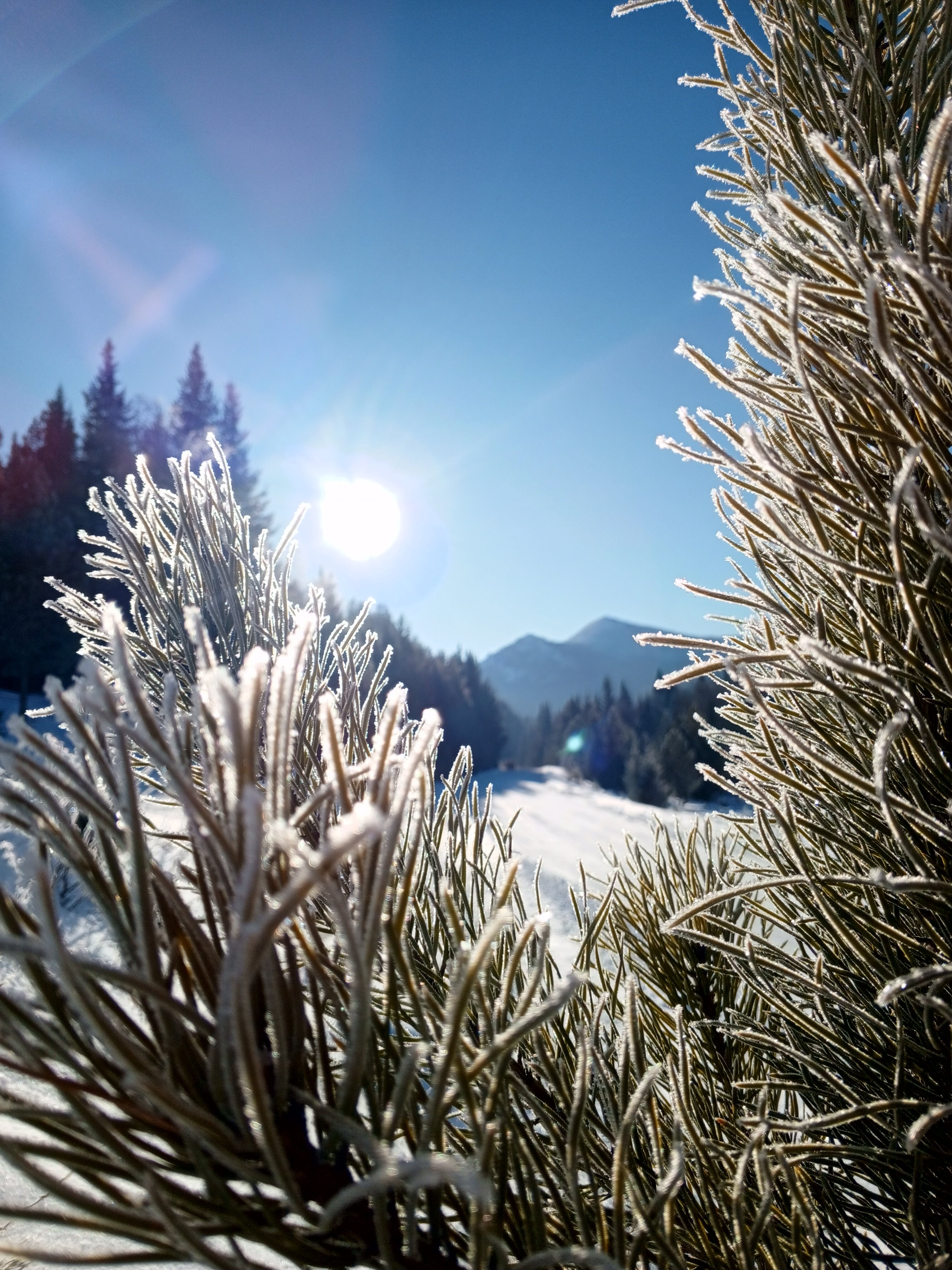 Фото Заветное место