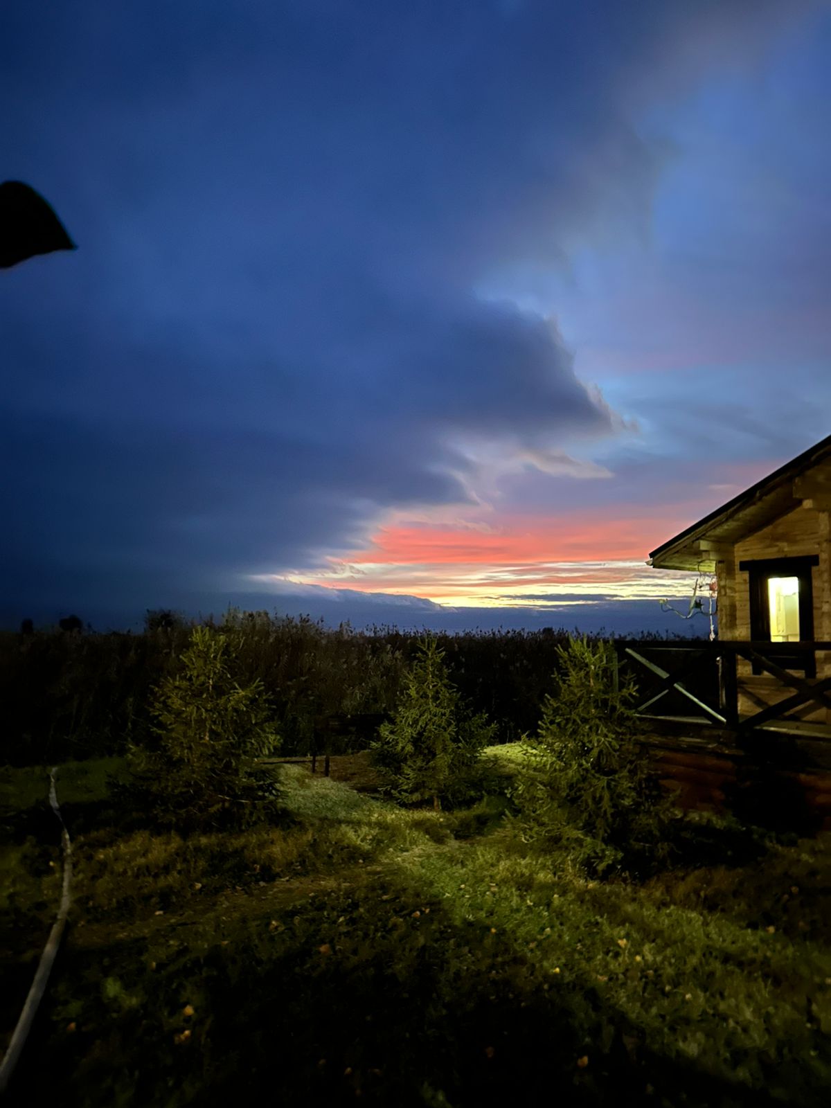 Фото Золотой Лотос