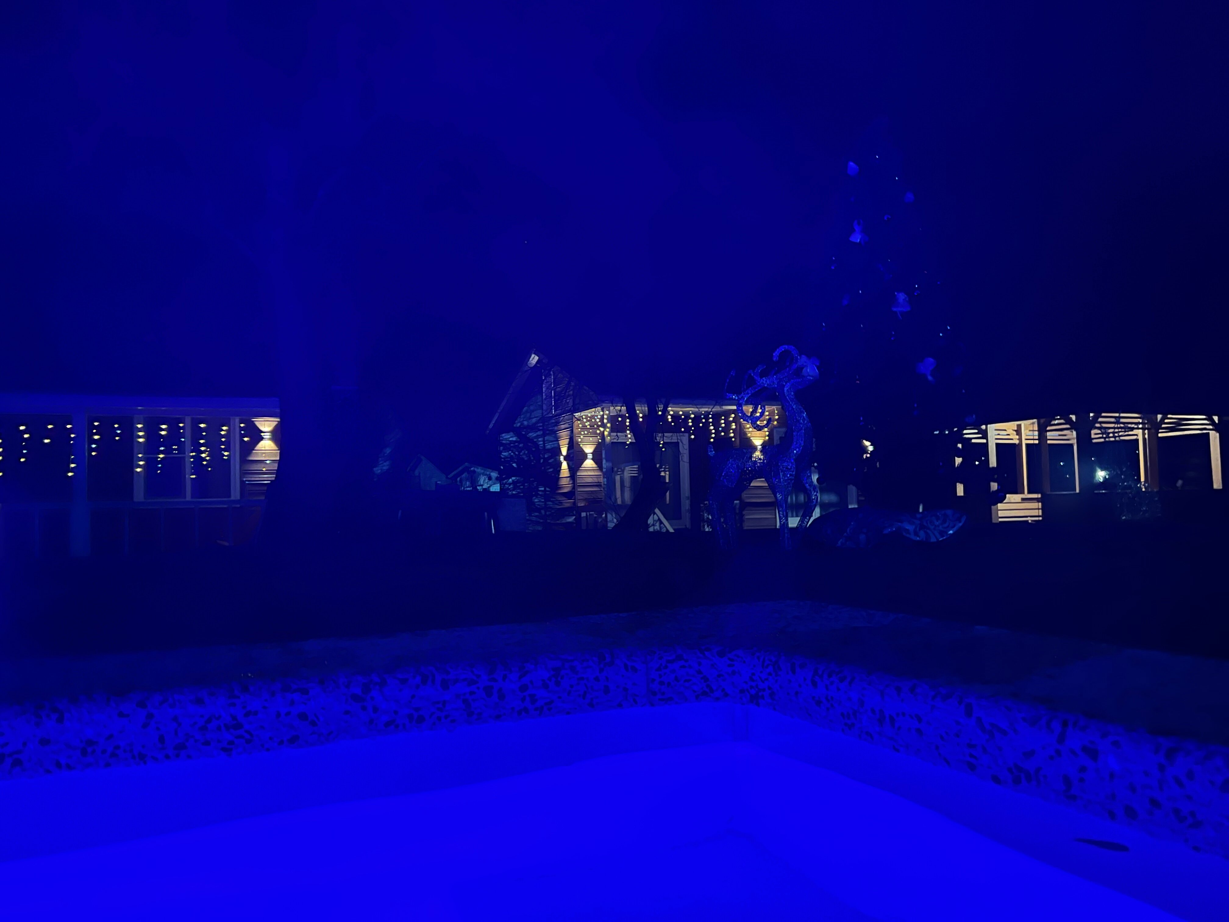 Фото Палитра