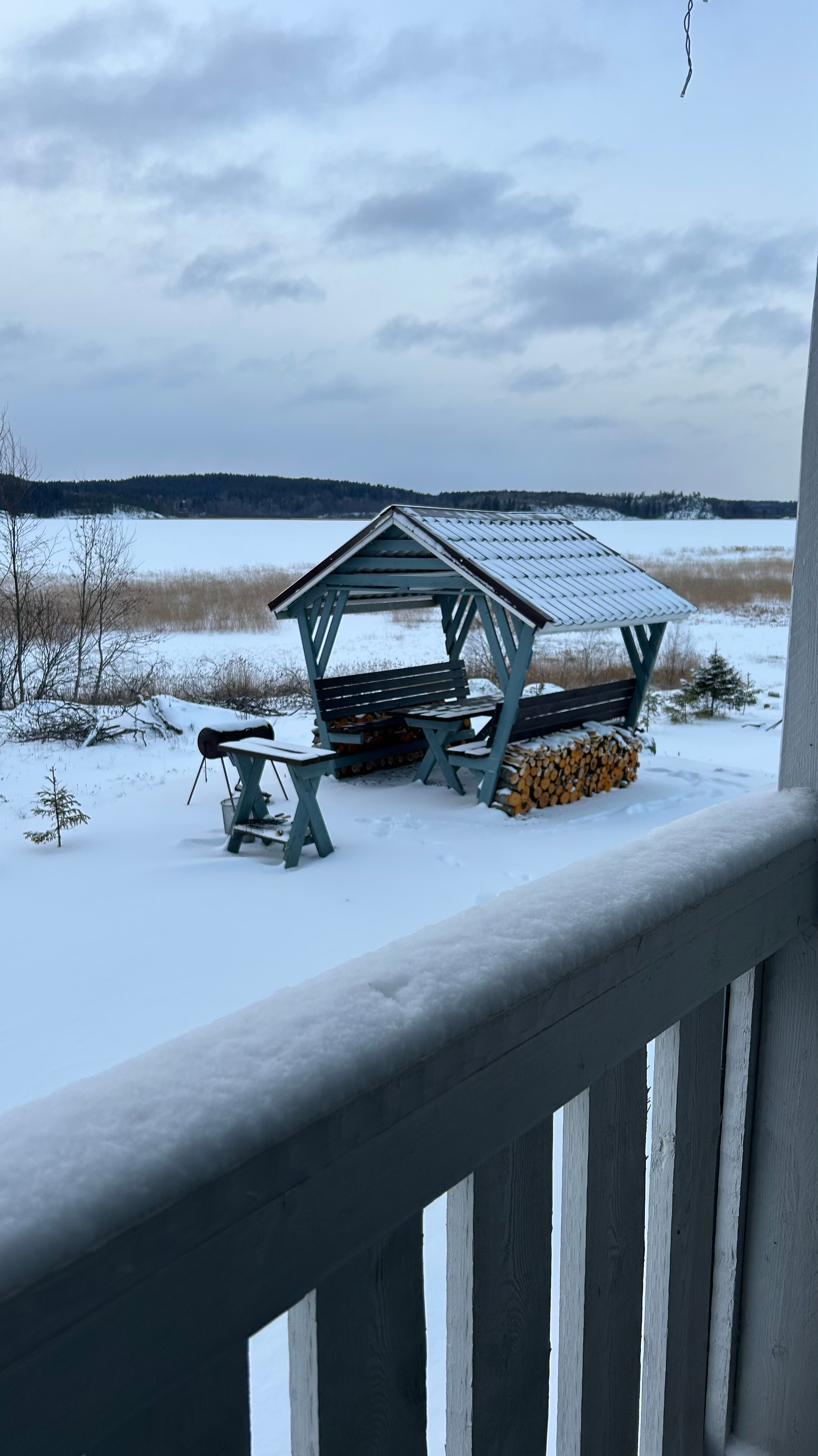 Фото Мункинмяки