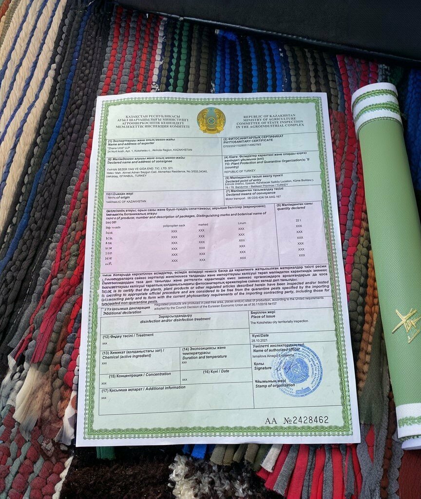 School Ibrahim Gurbuz Middle School, Bala, photo