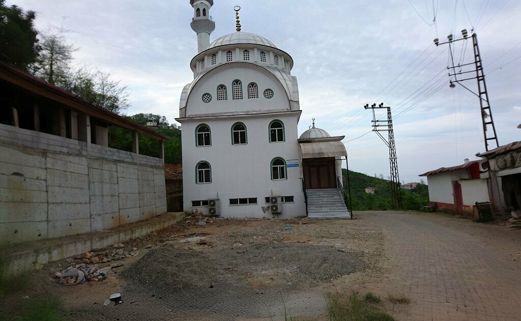 Mosque Sayaja Mahalla Mosque, Gulyali, photo