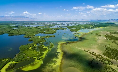 Landmark, attraction Eber Lake Bird Watching Tower, Cay, photo