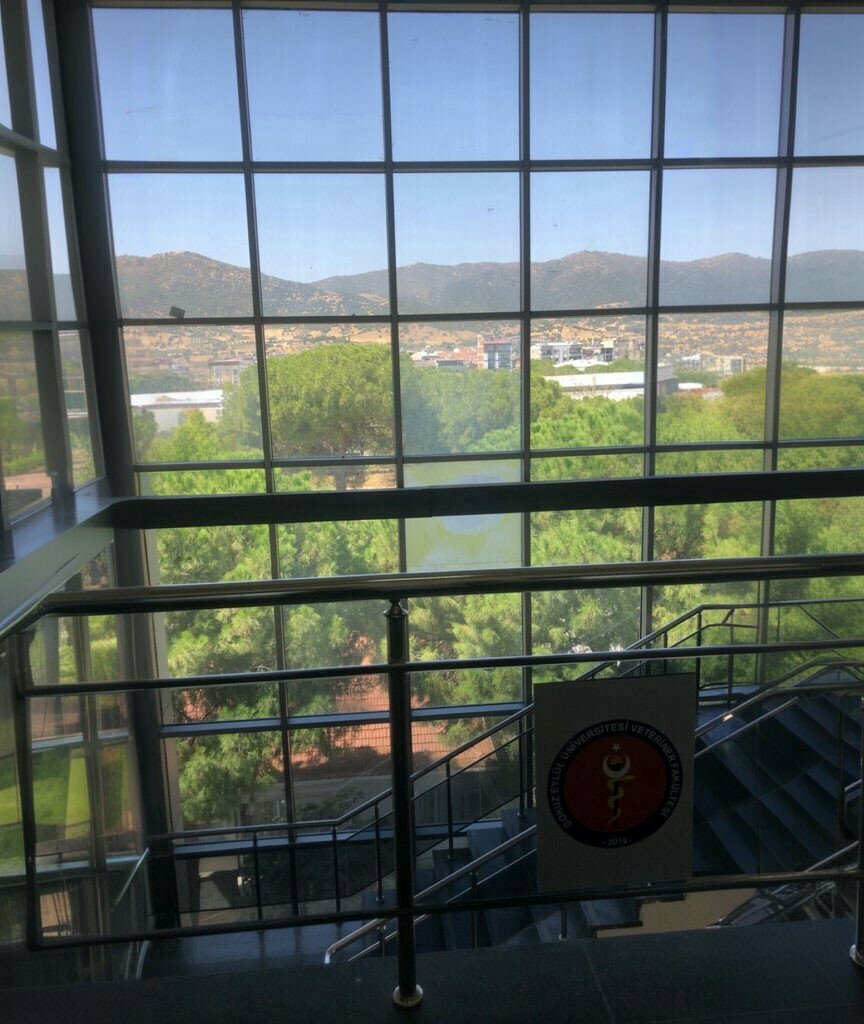 University Dokuz Eylul University Faculty of Veterinary Medicine, Kiraz, photo