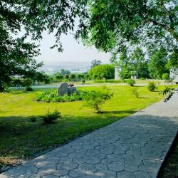 Фото Надежда