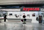 Ауреола (strada Gvardeiscaia, 29) ، متجر مجوهرات