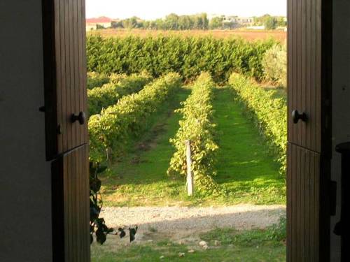 Фото Fattoria Il Borghetto