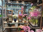 Mecidiyekoy Bindal Floristry (Istanbul, Sisli, Fulya Neighborhood, Mevlut Pehlivan Street, 6B), floristeria