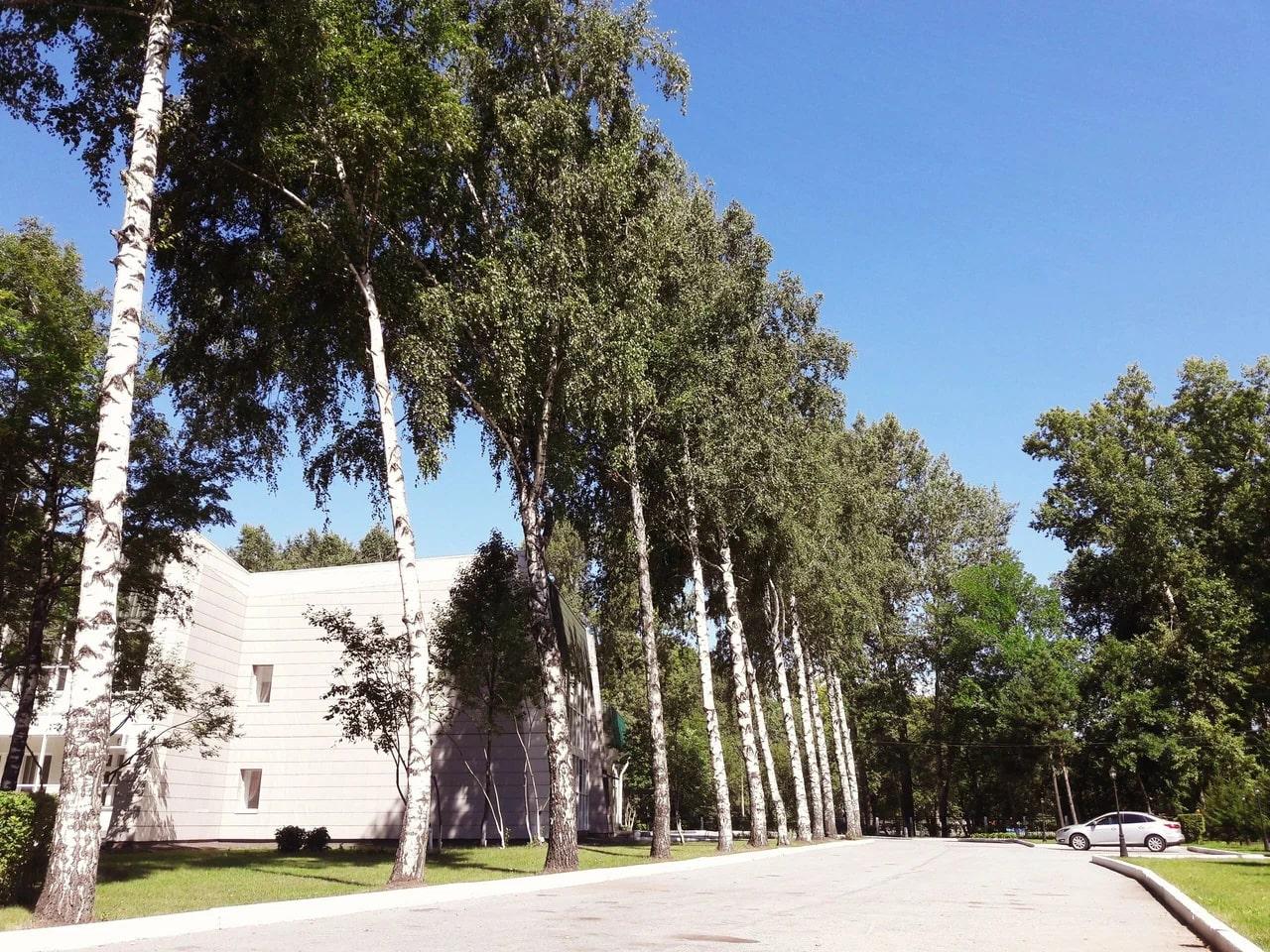 Фото Бизнес Отель Пушкинъ