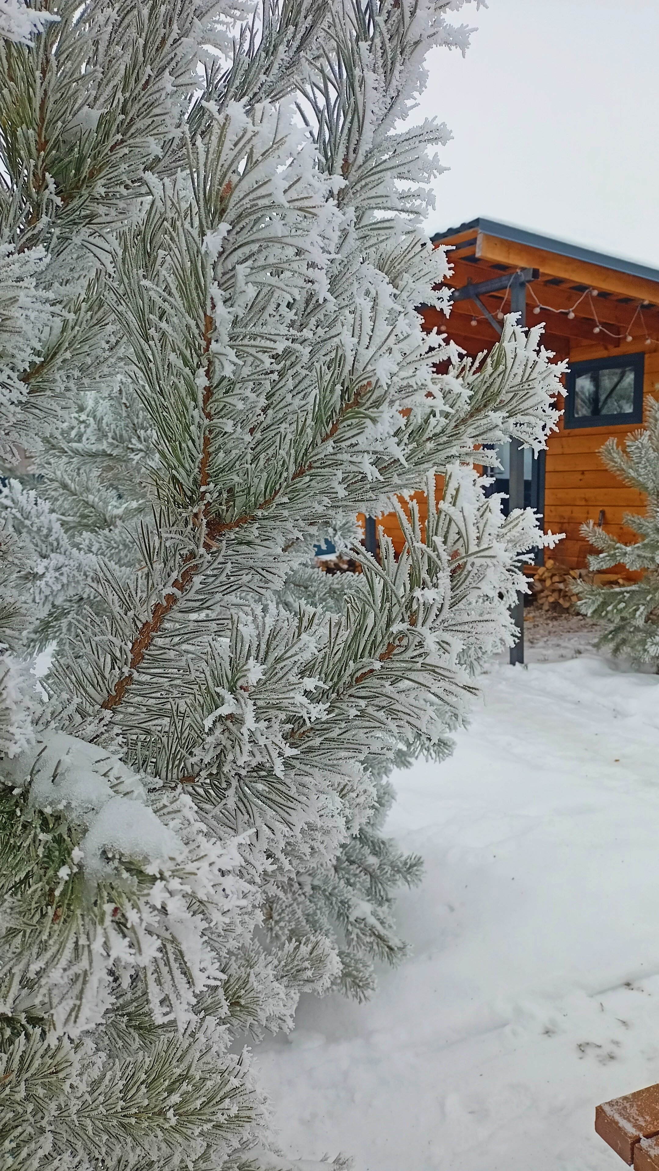 Фото Инлес Хаус