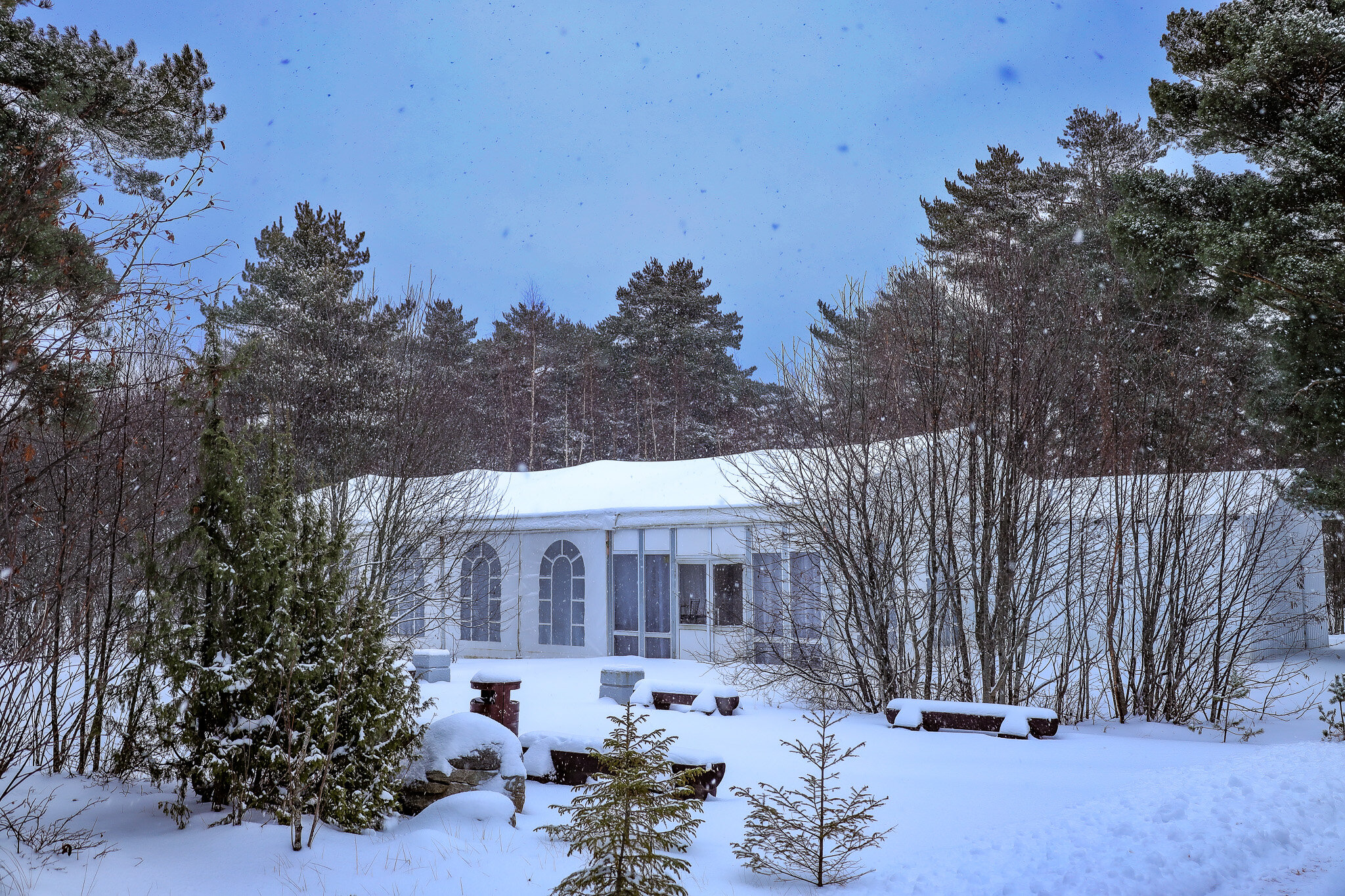 Фото Заостровье