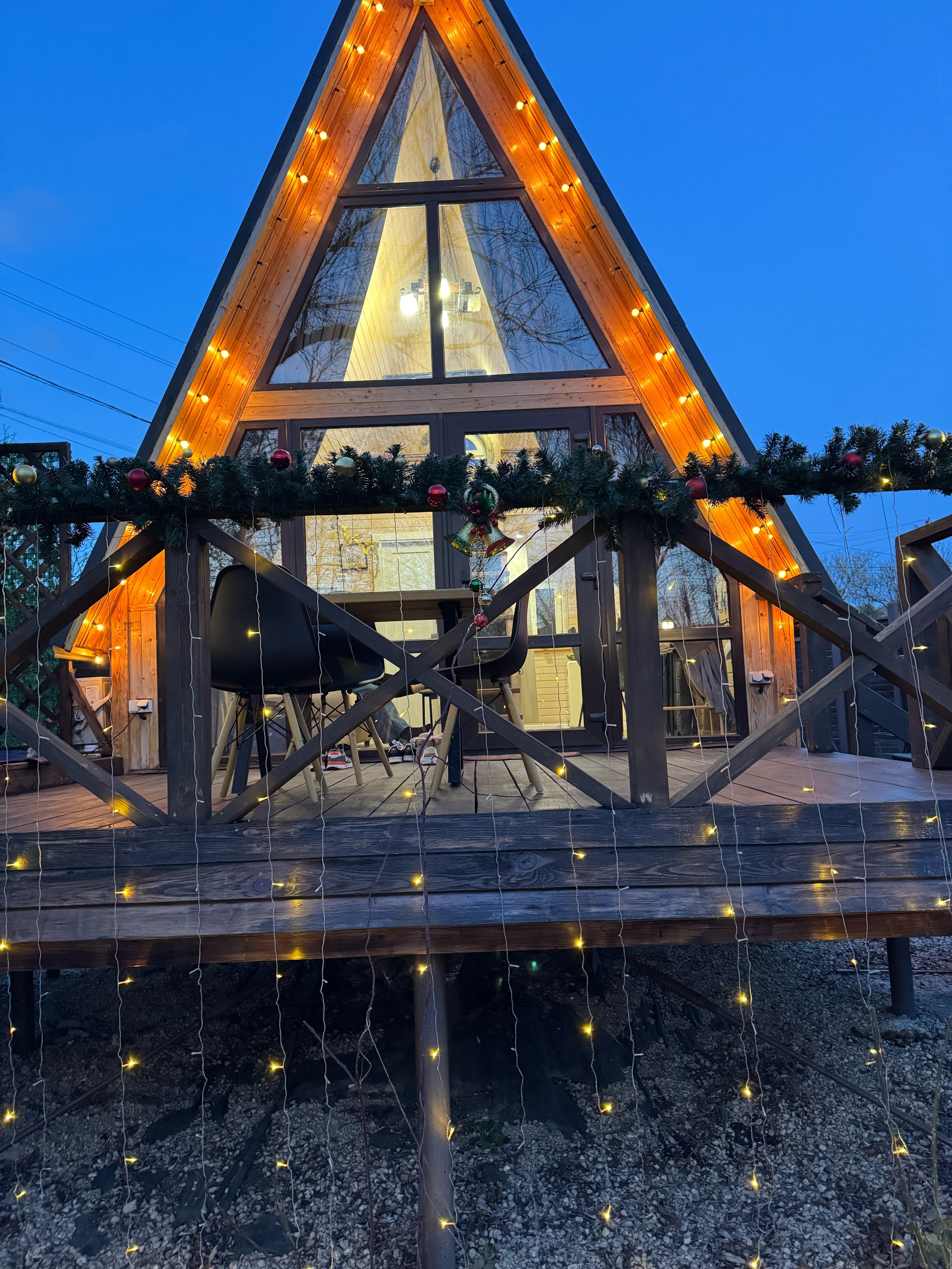 Фото Богатый лес