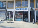 Eray Flower House (Ankara Province, Sincan District, Andicen Neighborhood, Oguz Yilmaz Avenue, 92B), floristeria