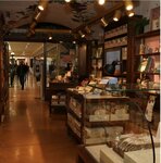 Evok (10A, 19B Street, Jumeirah 2, Jumeirah, Dubai), coffee shop