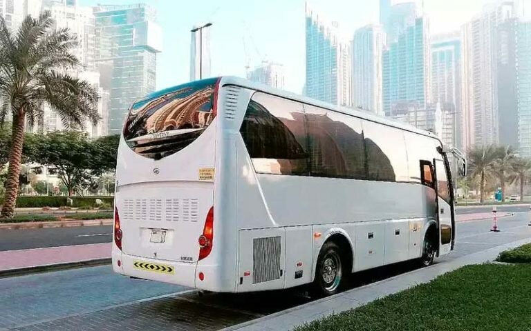 Haulage Marwan Khan Passengers Transport, Dubai, photo