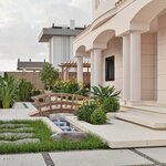 Sunrise Turfcare and Flowers (Dubai, Mushraif, Warsan 3, Garden Street), plant nursery