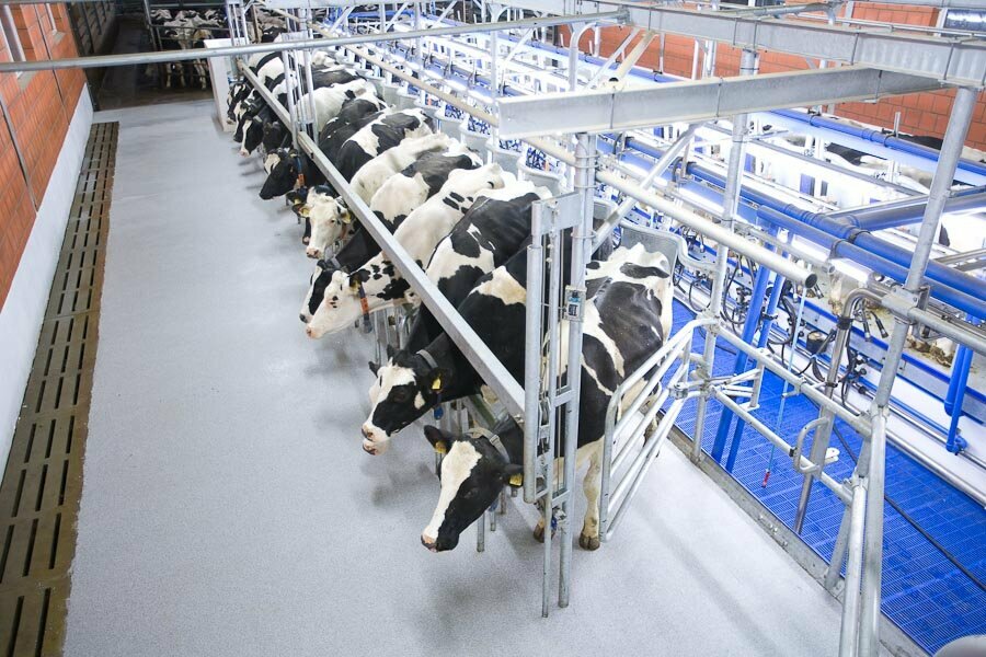 Agricultural machinery, equipment Авимилк, Minsk, photo