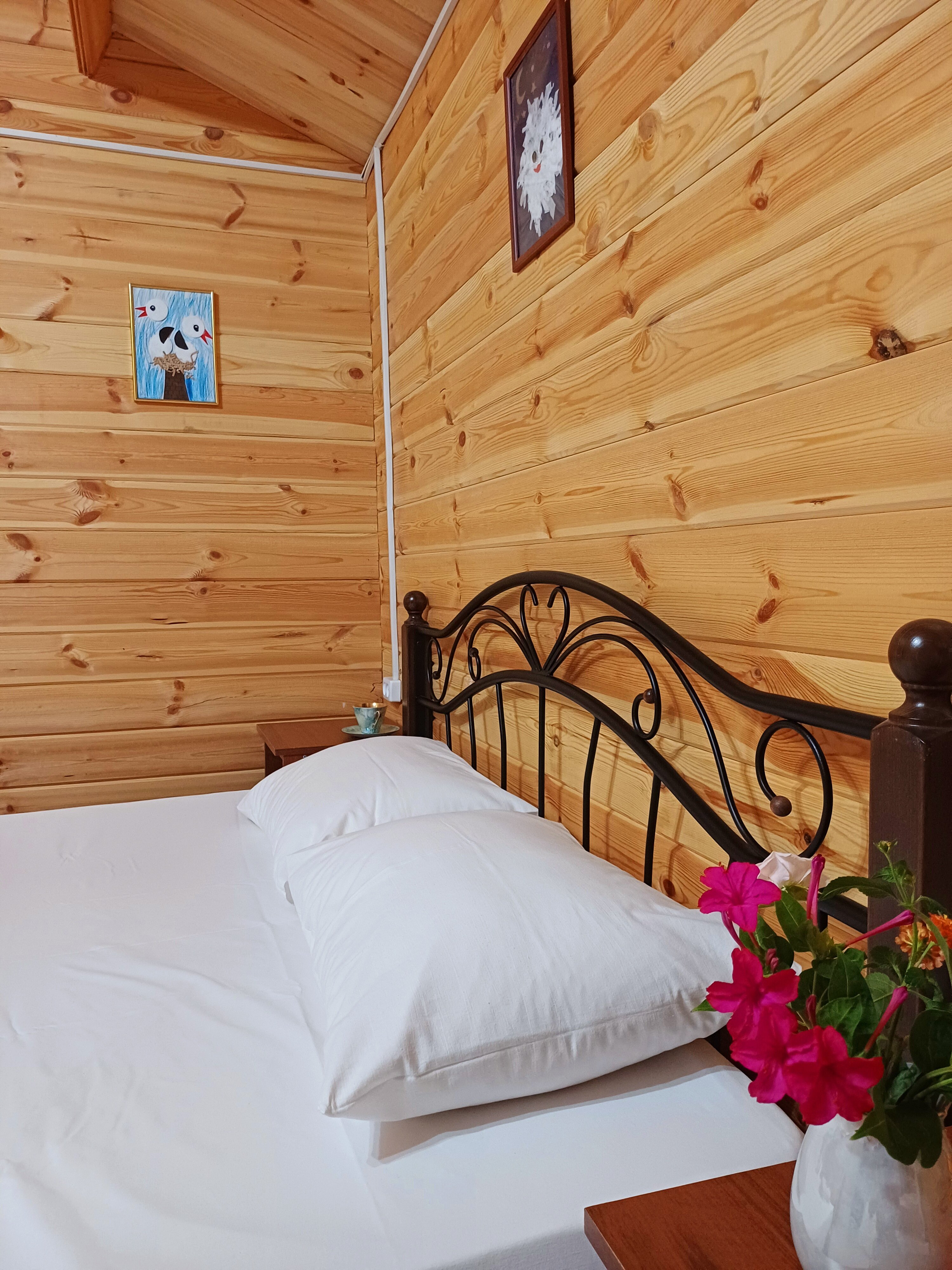 Фото Авокадо