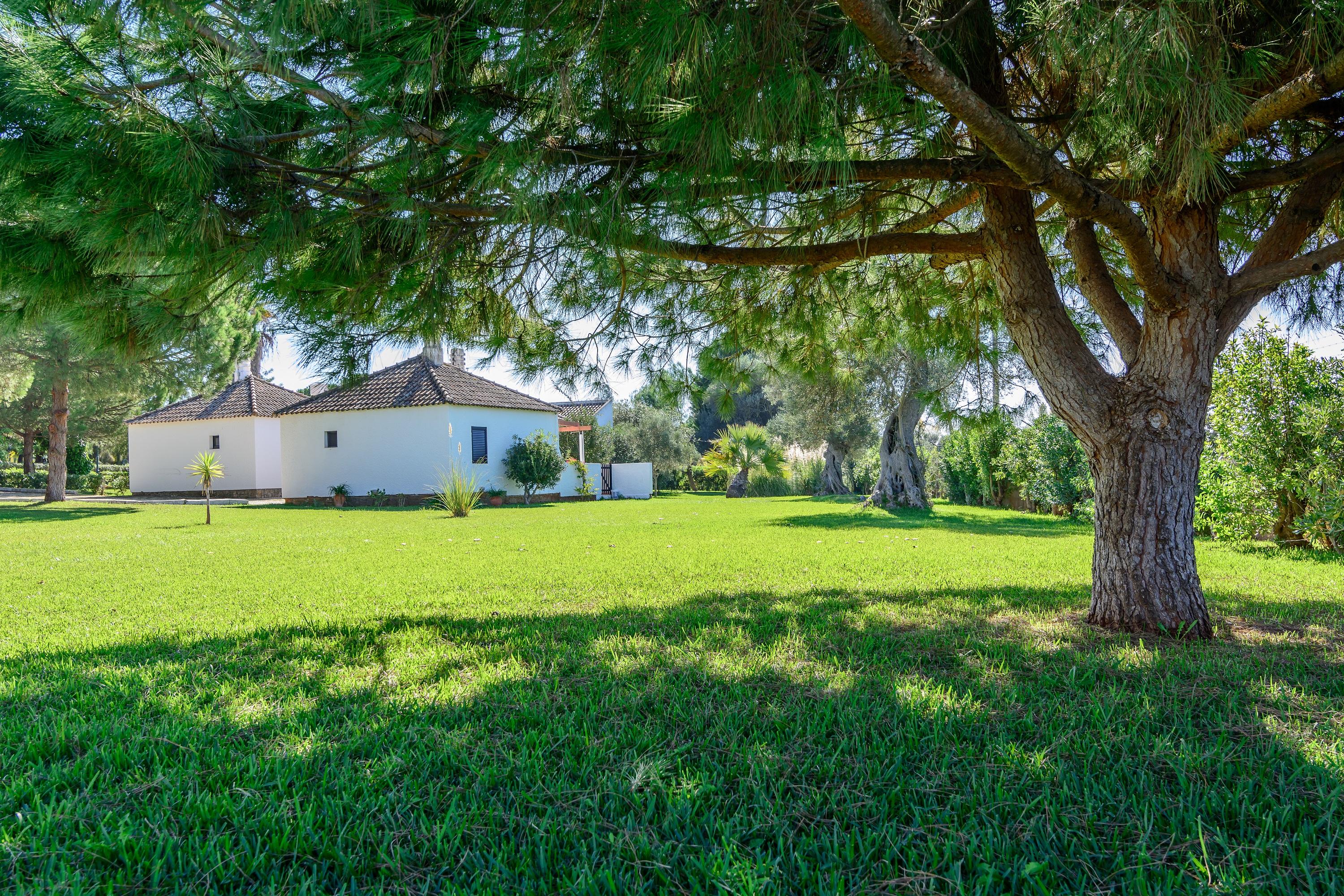 Фото Pedras da Rainha