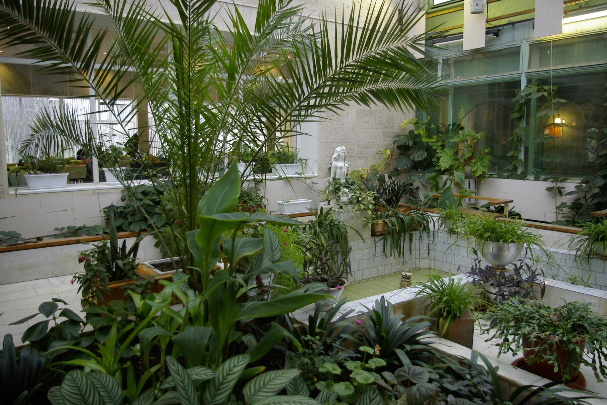 Фото Севмаш