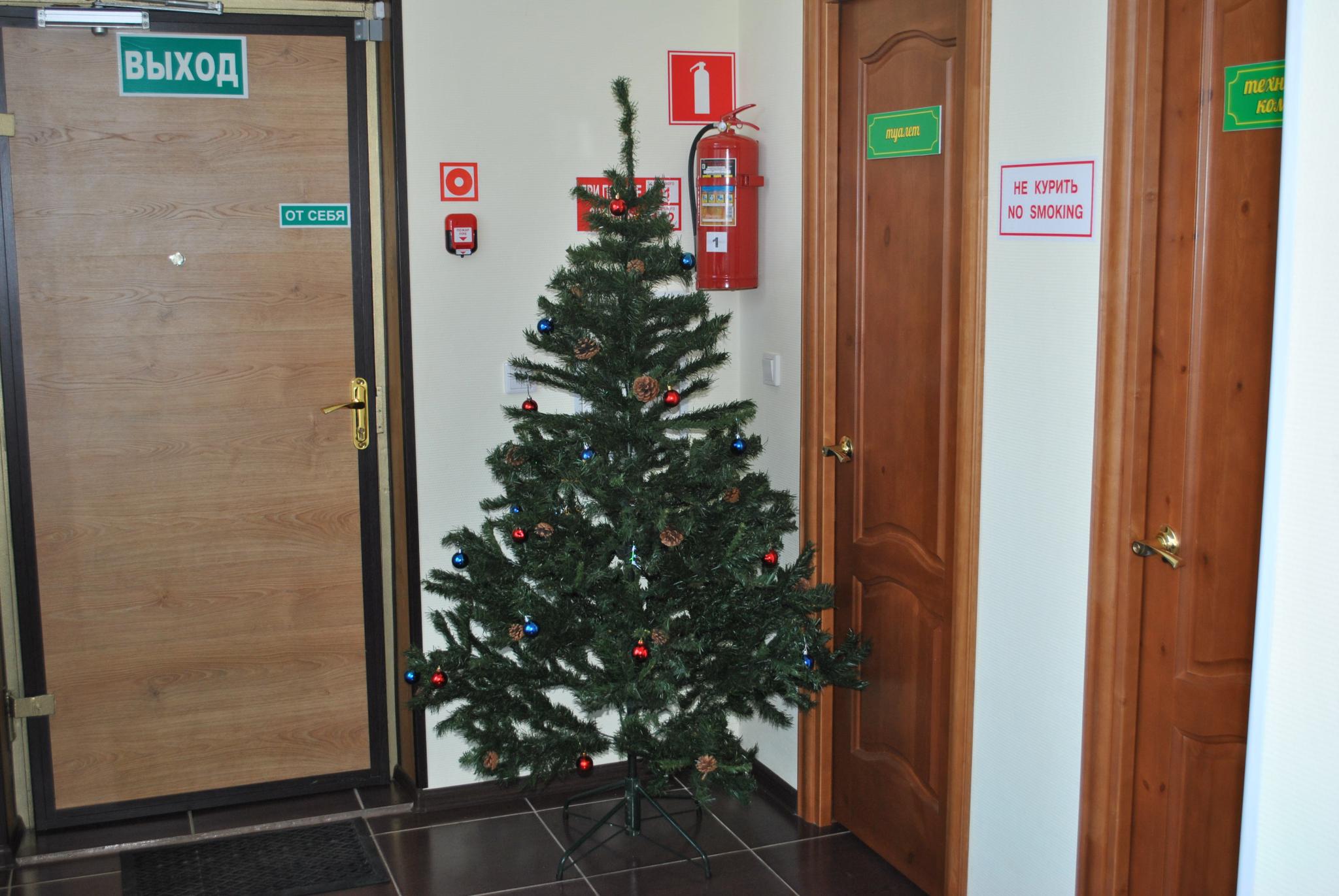 Фото Солнечная