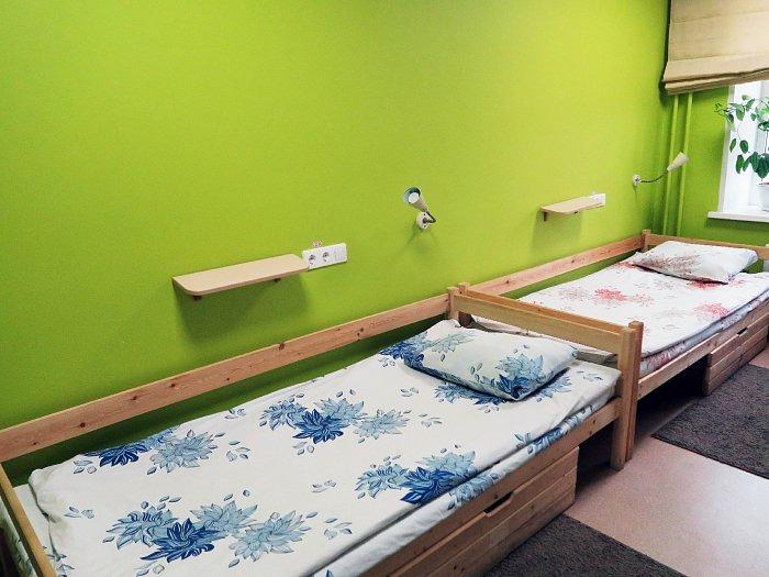 Фото Нарцисс