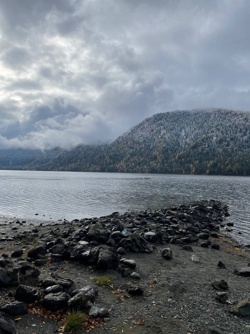 Фото Отдых Телецкое