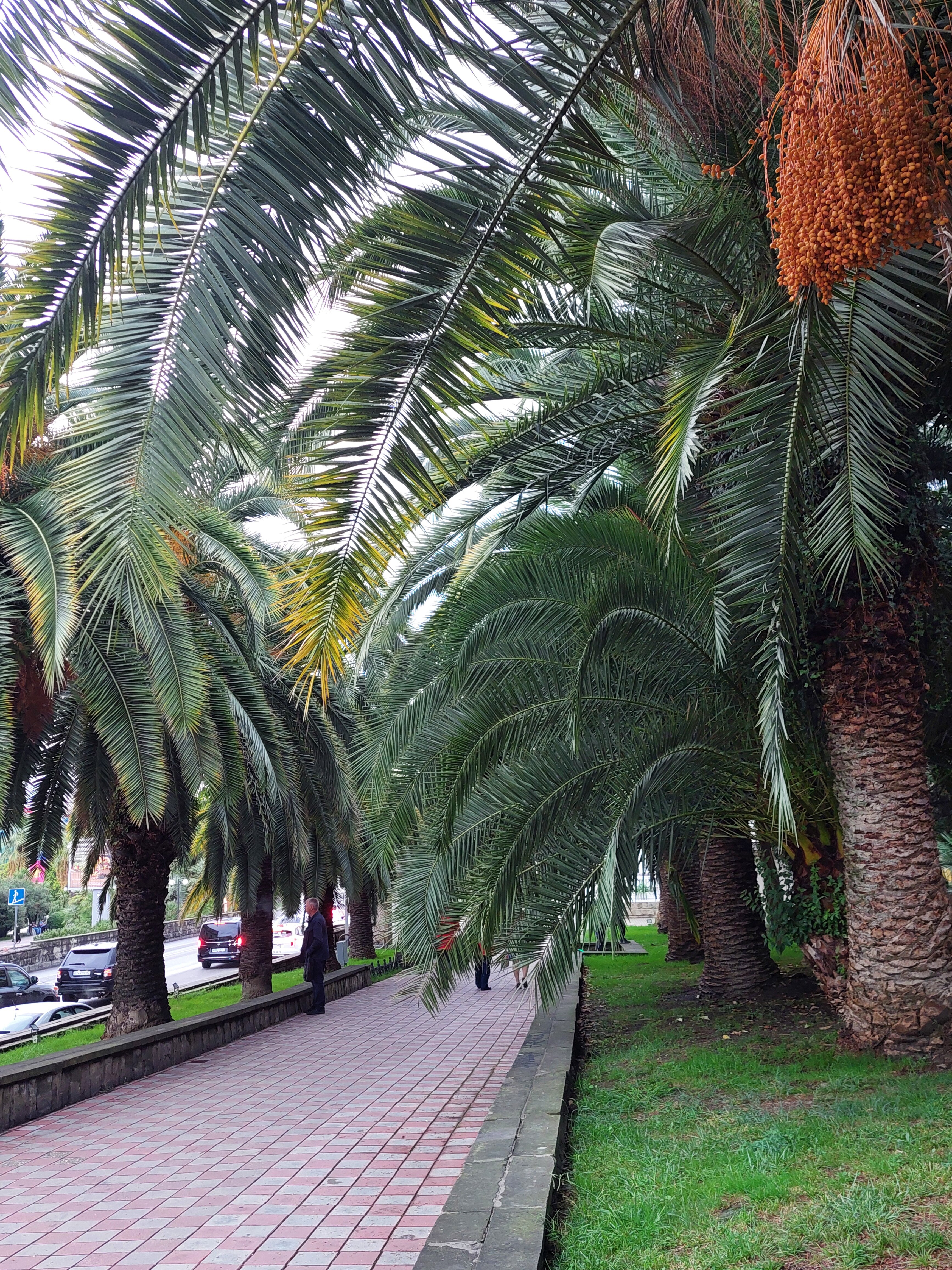 Фото Неолит Парк Горького