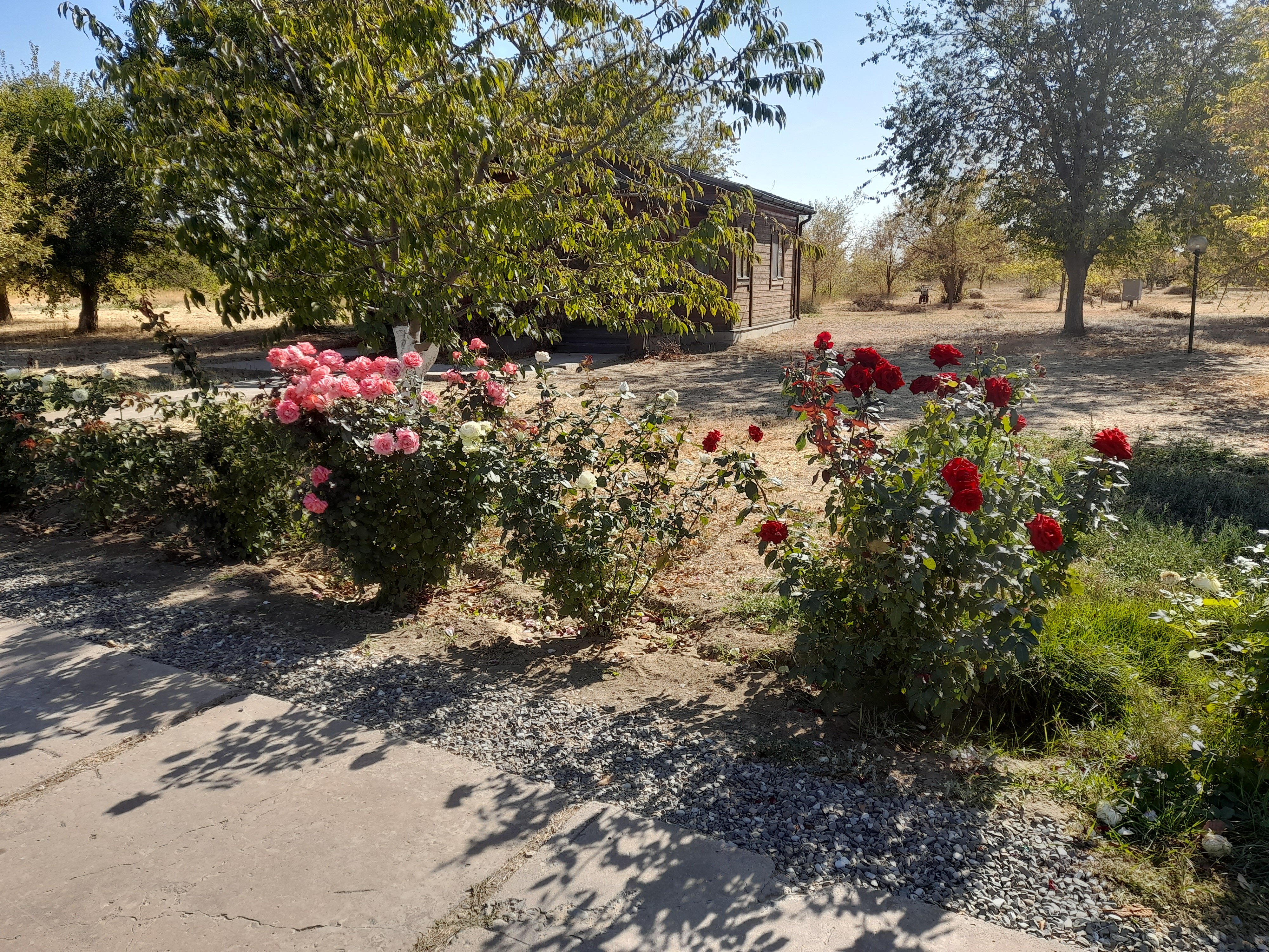 Фото Пристань рыбака