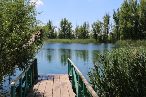 Жас жұбайлардың нәзік жынысы