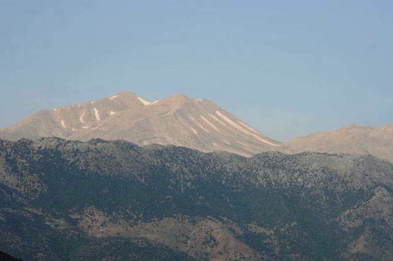 Фото Alkion
