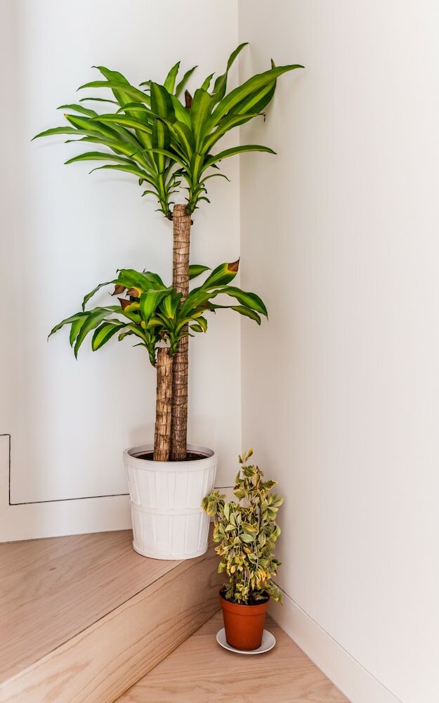 Фото Hoom Apartaments, Juan Bravo 56, Madrid